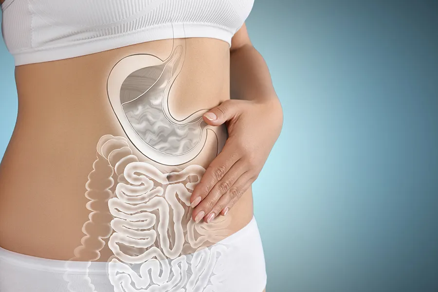 Gut-Health-Doctor Close up of the midriff of a woman with white underwear and an illustration of the digestive system superimposed over the image. Get help for digestive issues and gut health from Tanya Zboril, NP of TBT Medical in Edmonton.